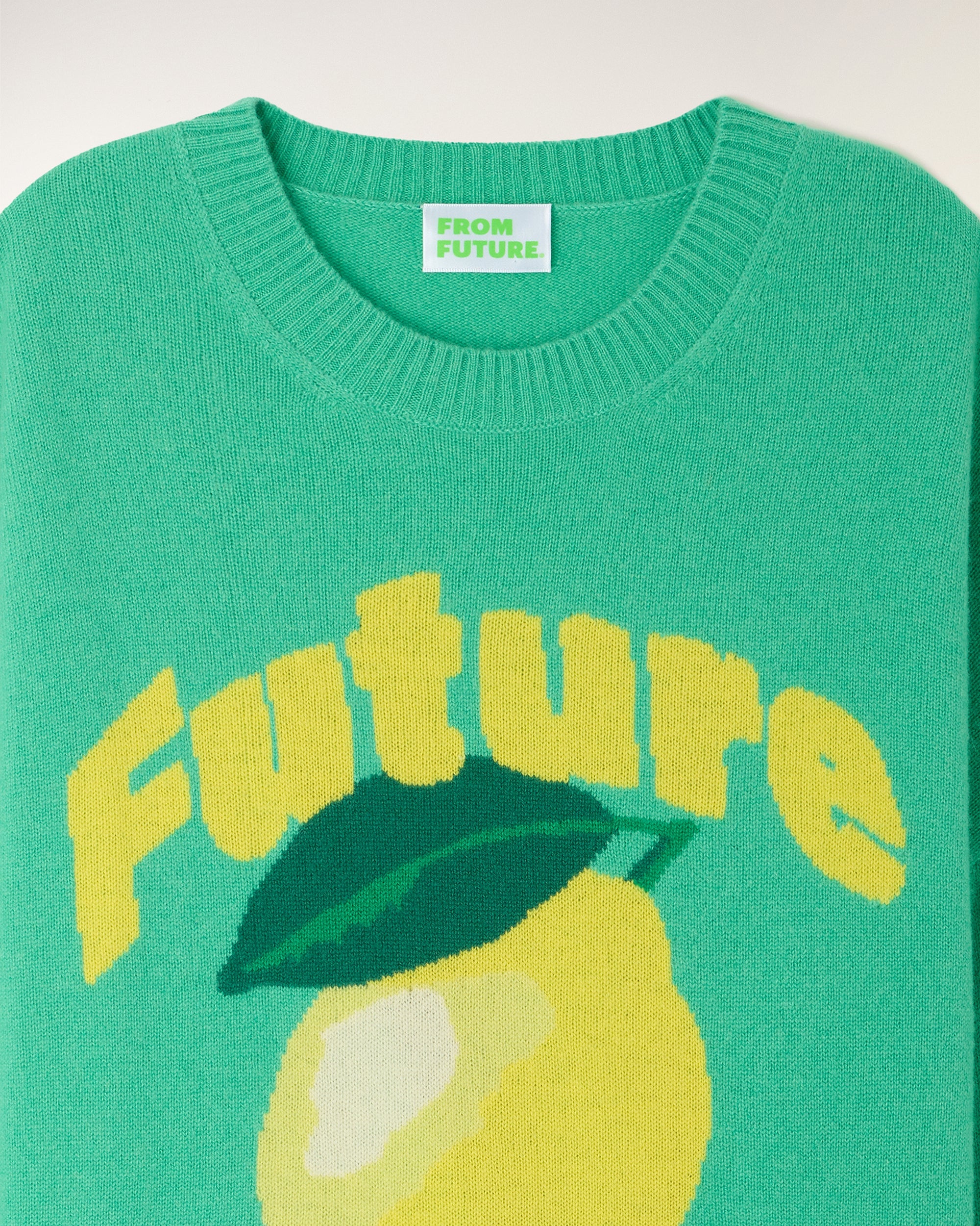 Future Intarsia Motif Crewneck Sweater (S26/ FEMME/ Garden Party Green)