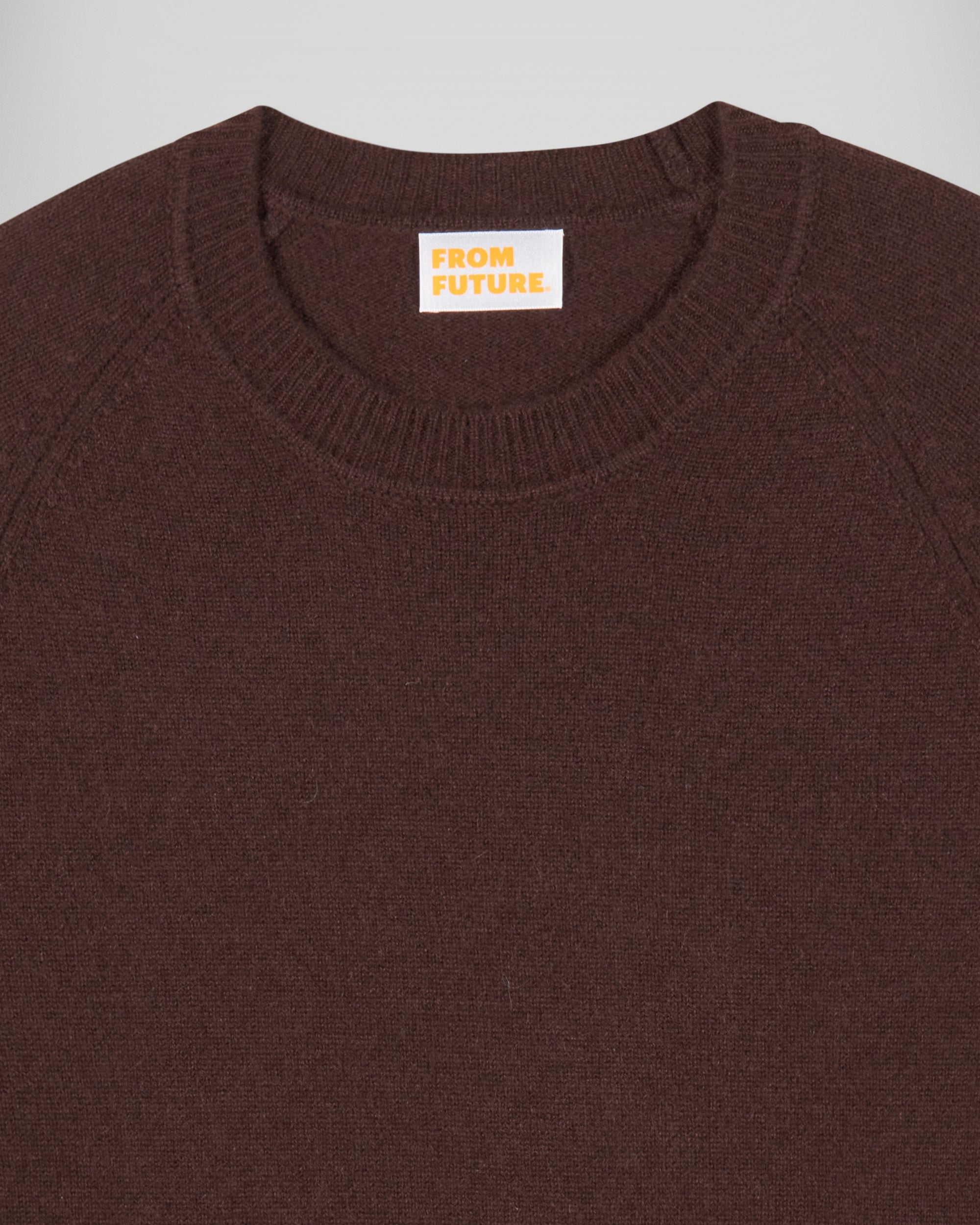Crewneck Sweater (H25 / HOMME / Chocolate)
